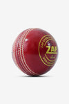 ZAP Pacer 20 Cricket Leather Ball